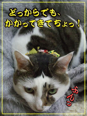 その「つちのこ」ポーズも止めなさい!