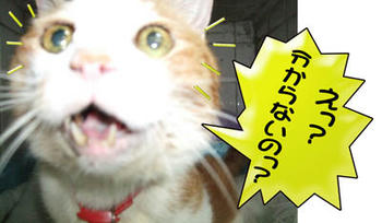 タンタンもビックリ！