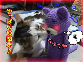 ♪ヒャッホーイ♪.・・ヘ(= ̄∇ ̄)ノ