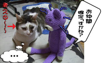 さて、結果は？