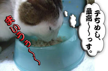 当たり前!高級缶だぞっ