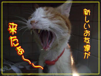 (⌒-⌒)ﾆｺﾆｺ...嬉しいね♪