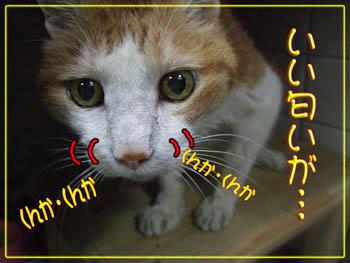 《《《《♪♪(*´▽｀*)ノ゛うふふ～ 