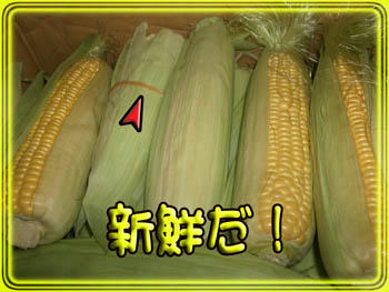 んっ？ゴムの印？