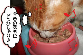 ウマウマだっ！
