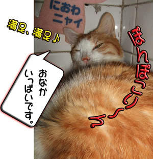 美味しかった？