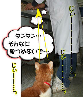 手先が震えるよ～（笑）