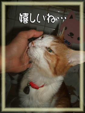 信じられないね…