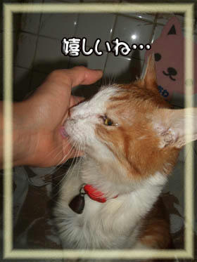 こんな凄い事？