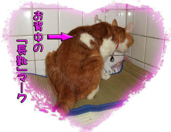 長靴です♪
