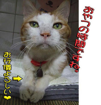 タンタンも待ってるの？(*'ー'*)ふふっ♪