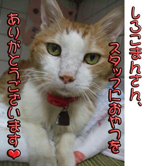 ★あ(^-^) り(-^ ) が(　 ) と( ^-) う＼(^0^)/★