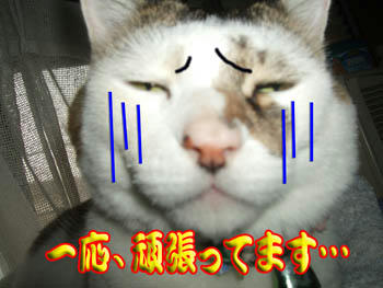 プー!(*≧m≦)=3