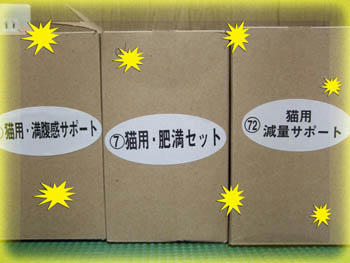 かなり切ない文字が…(泣)