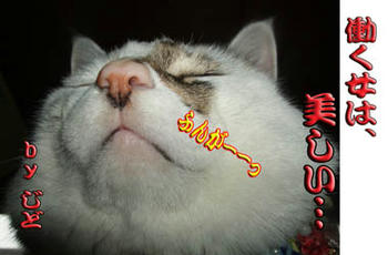 （ー'`ー;）ﾑﾑｯ　なぜか凹む（-""-；)