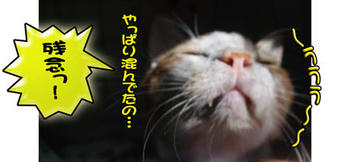 そうなんだよ～、読みが甘かった～（泣）