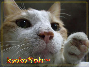 タンタンもそう思うよね。
