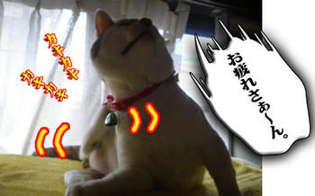 何となくムカつくわっ！