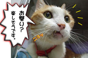 タンタン、楽しんでくるからねぇ～♪