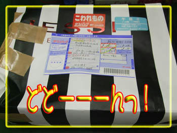 なんか、デカいですが…（こわれもの？）