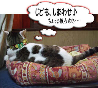 こらっ！こっち向けっ！！