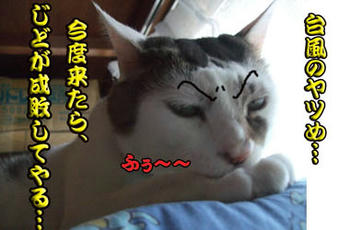 頑張れやぁ～