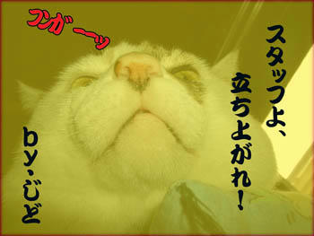 じどまでも…感(┳∧┳)涙