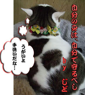 じどにはうつんないって！！
