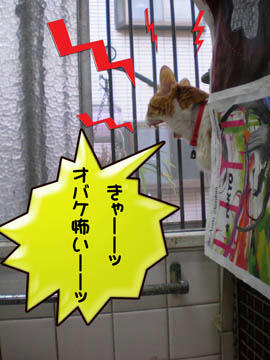 タンタンのお口「パッカ～ン」も怖いよ（笑）