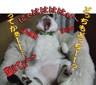 超ムカつく！