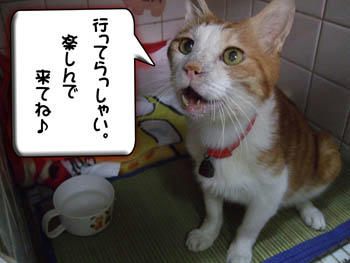 はいよ♪