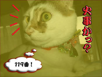 大丈夫ですよ。ププッ