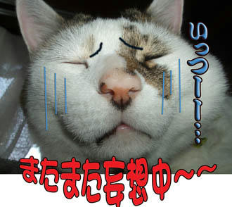 じどは妄想しなくていいの！