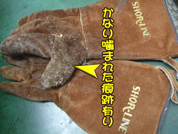 年季モノの皮手袋