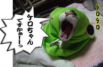 似合ってるわ～♪