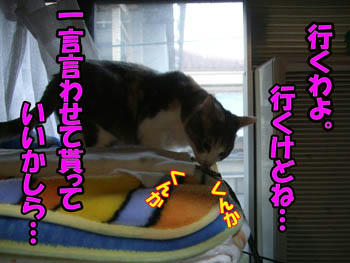 まだ文句があるわけ~?
