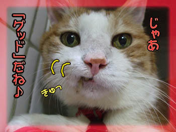 (^^)bGood! (OK!)