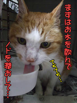 そう、そう。ノドは大事だよ（笑）