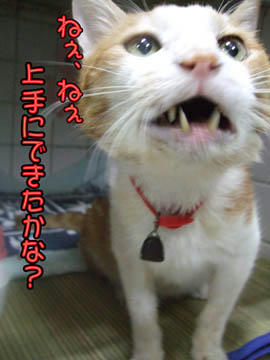ちょっと心配？(^^ゞ