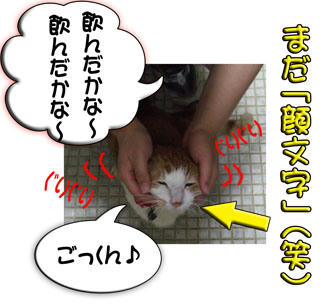 おまじないですか？
