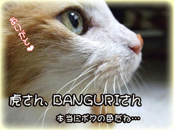 ｡.:♪*:･'(*⌒―⌒*))) ｽﾍﾟｼｬﾙｽﾏｲﾙ