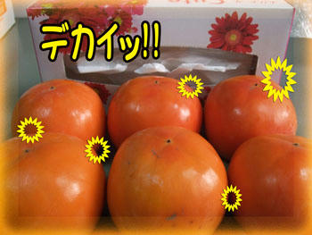 ツブ揃い　w(￣▽￣;)wﾜｵｯ!!