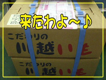 !(　ﾟ∀)ｷﾀ!!( ﾟ∀ﾟ )ｷﾀ━━！
