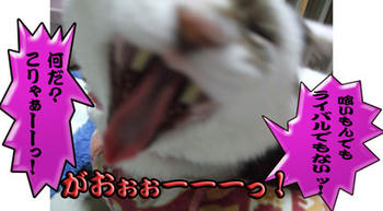 ぉお!!(゚ロ゚屮)屮 逆ギレッ!