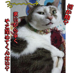 ずい分生意気なお顔じゃない? ̄ε ̄)