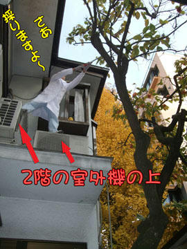 ○○とスタAは高い所がお好き？柱|￣m￣) ｳﾌﾟﾌﾟｯ