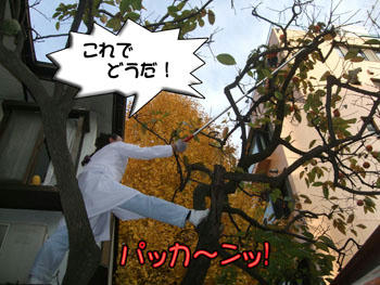 見事な開脚！