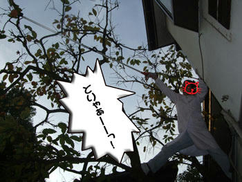 ( ﾟ-ﾟ)( ﾟﾛﾟ)(( ﾛﾟ)ﾟ(((　ﾛ)~ﾟ ﾟﾅﾝﾄ!!!