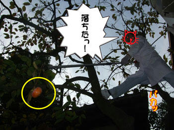 待ち受け隊、ぼんやりするなッ!
