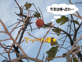 残念ッ!